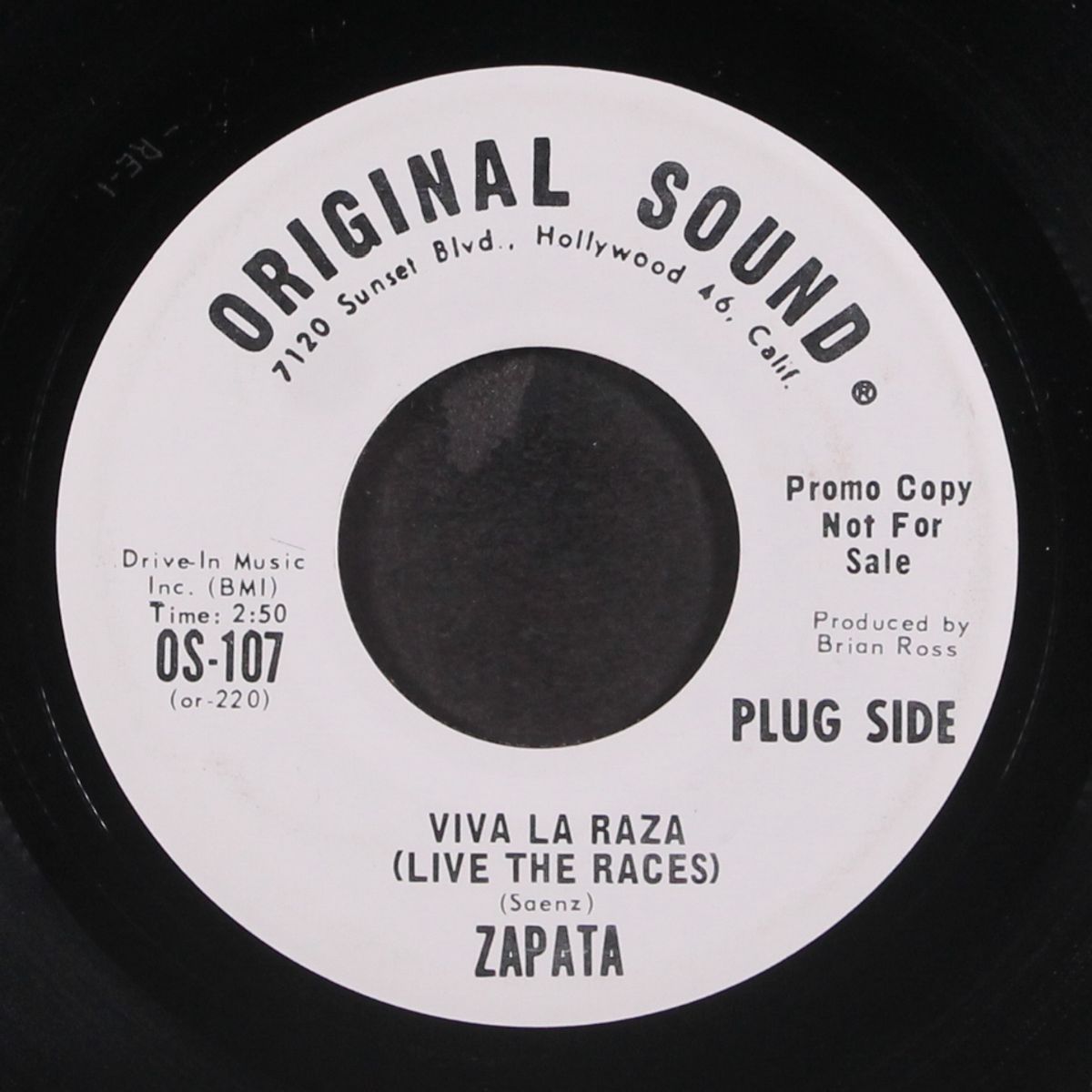 viva la raza / una ves mas by ZAPATA