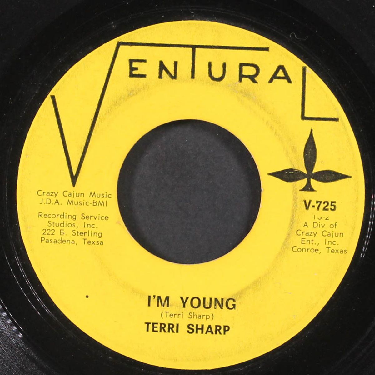 a love that will last / i'm young by TERRI SHARP