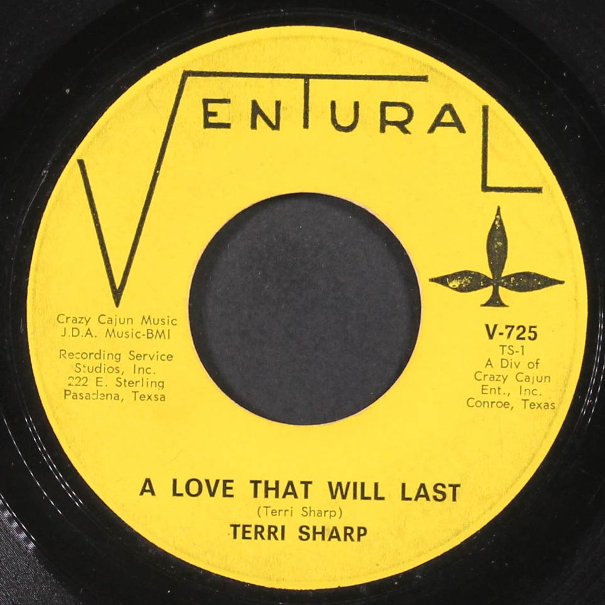 a love that will last / i'm young by TERRI SHARP
