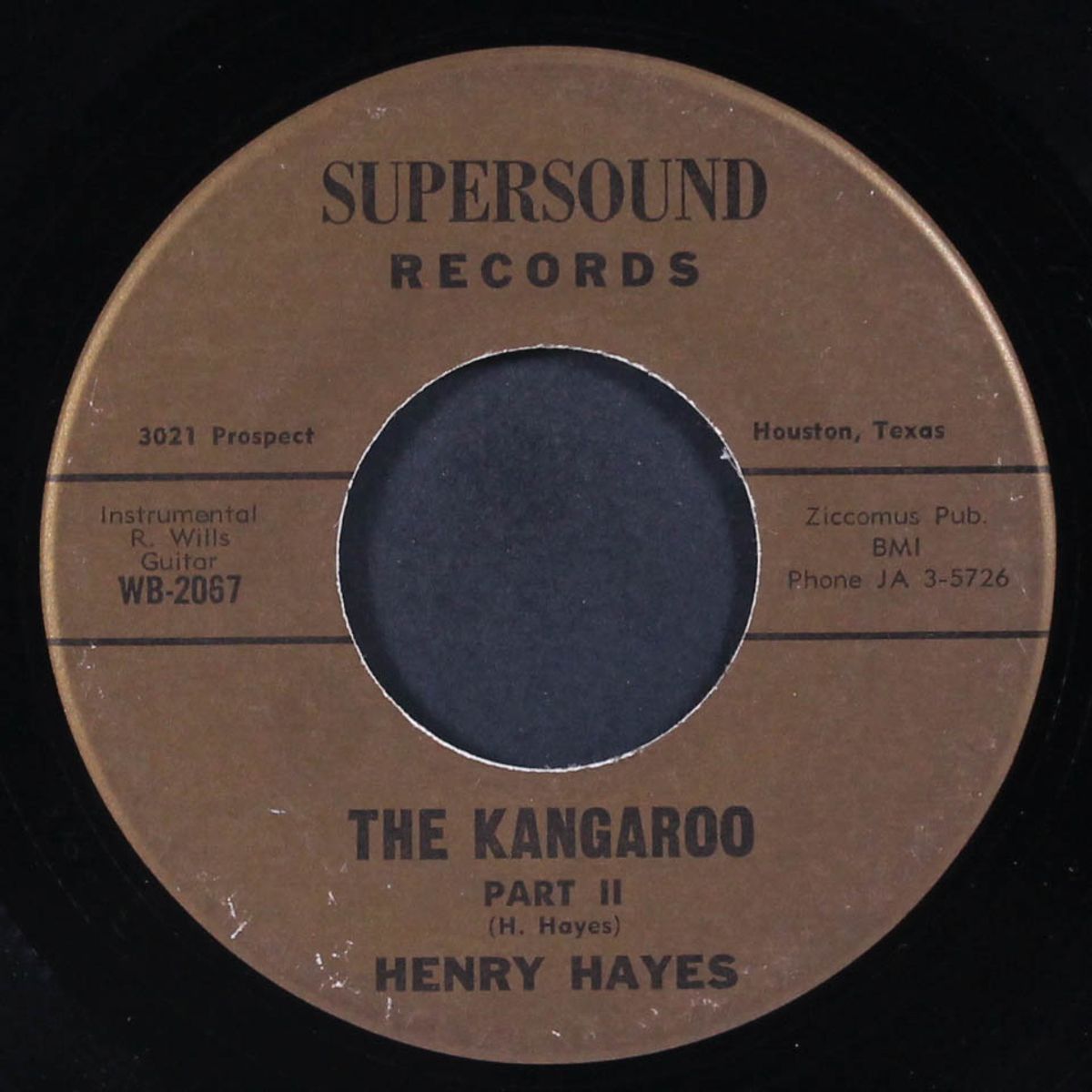the kangaroo by HENRY HAYES