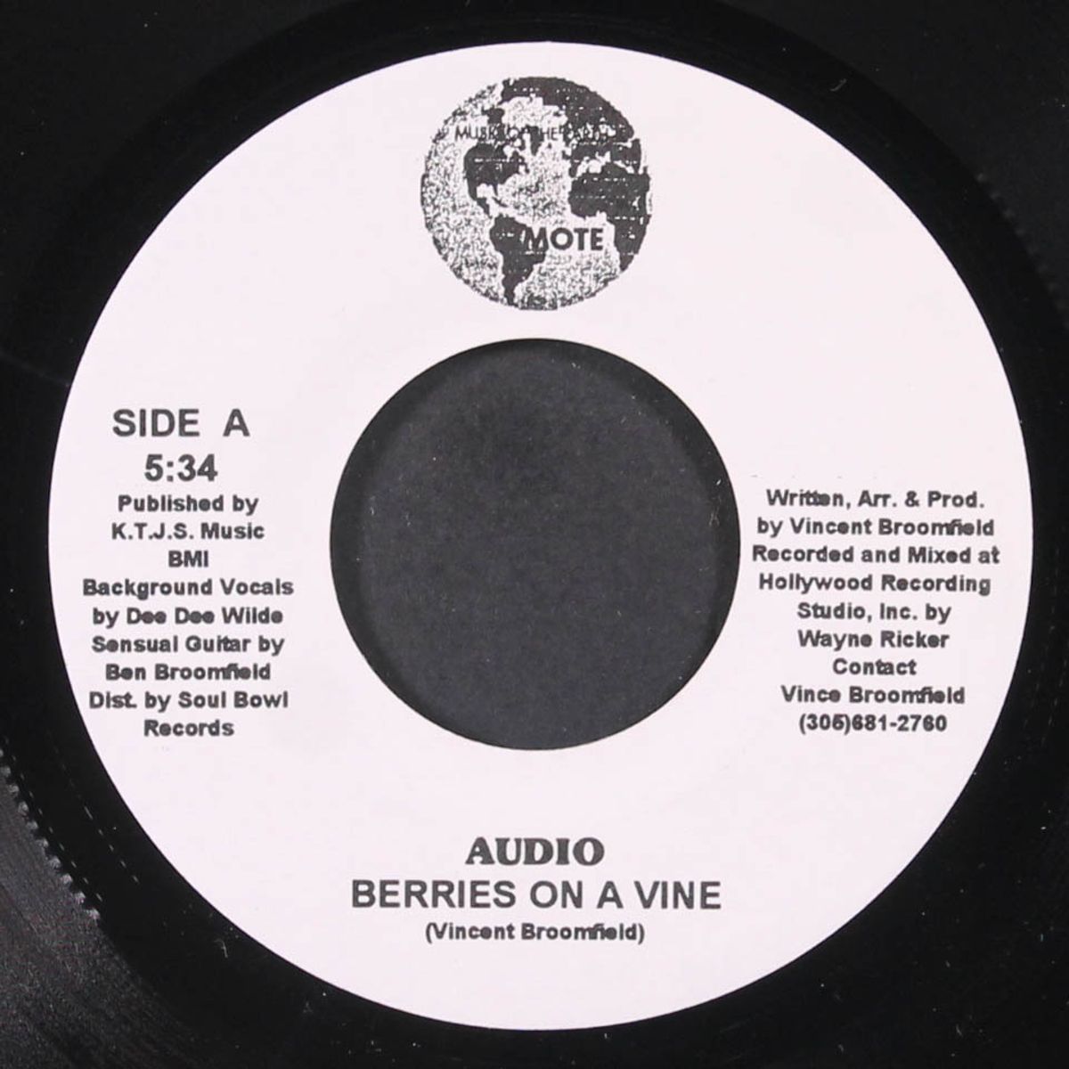 let's celebrate / berries on a vine by AUDIO