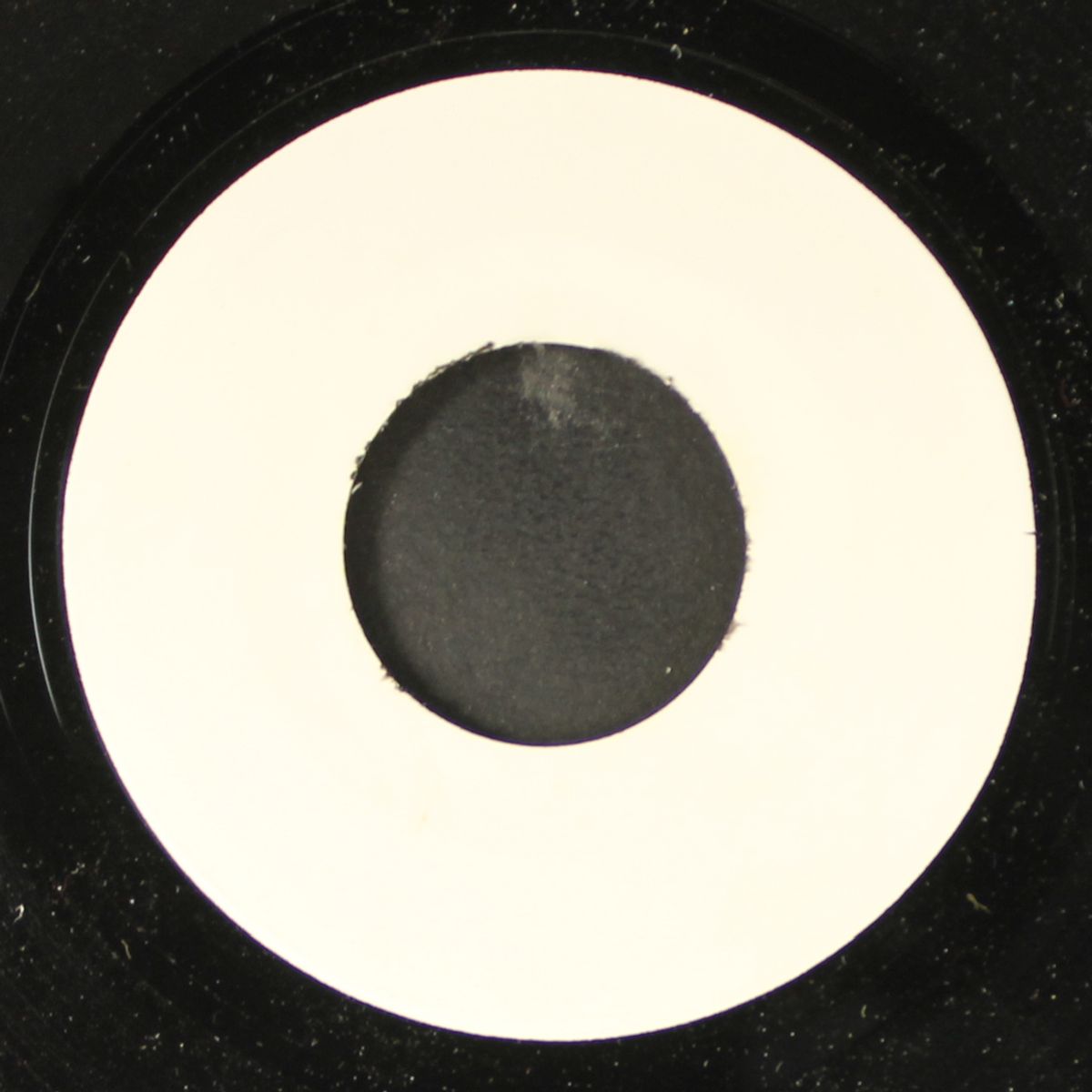 shadow / blank by R. DEAN TAYLOR