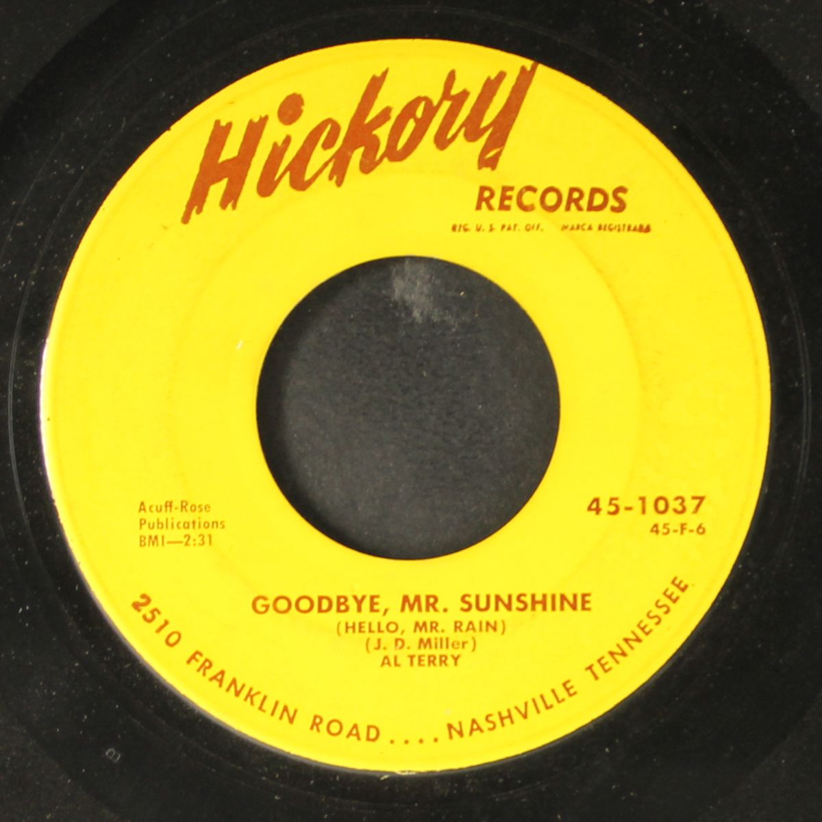 i love her so / goodbye, mr. sunshine by AL TERRY