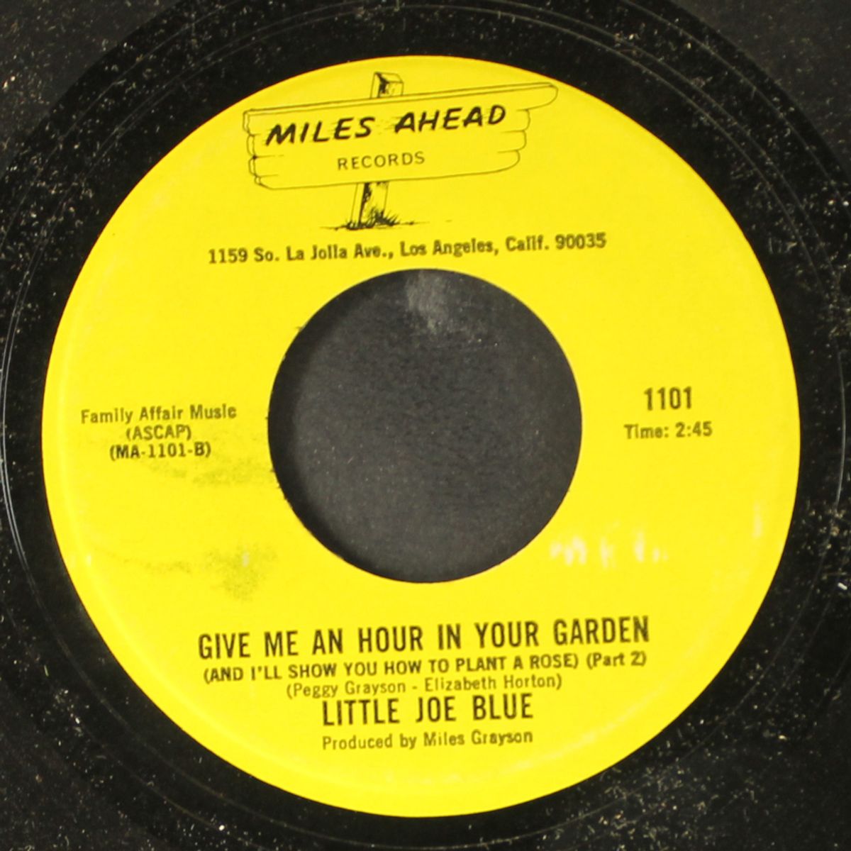 give me an hour in your garden / part 2 by LITTLE JOE BLUE