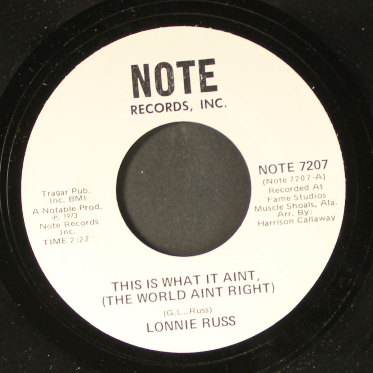 i can see it / this is what it ain't by LONNIE RUSS