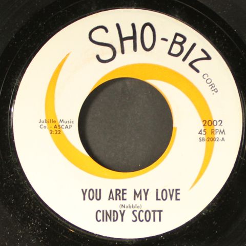 CINDY SCOTT