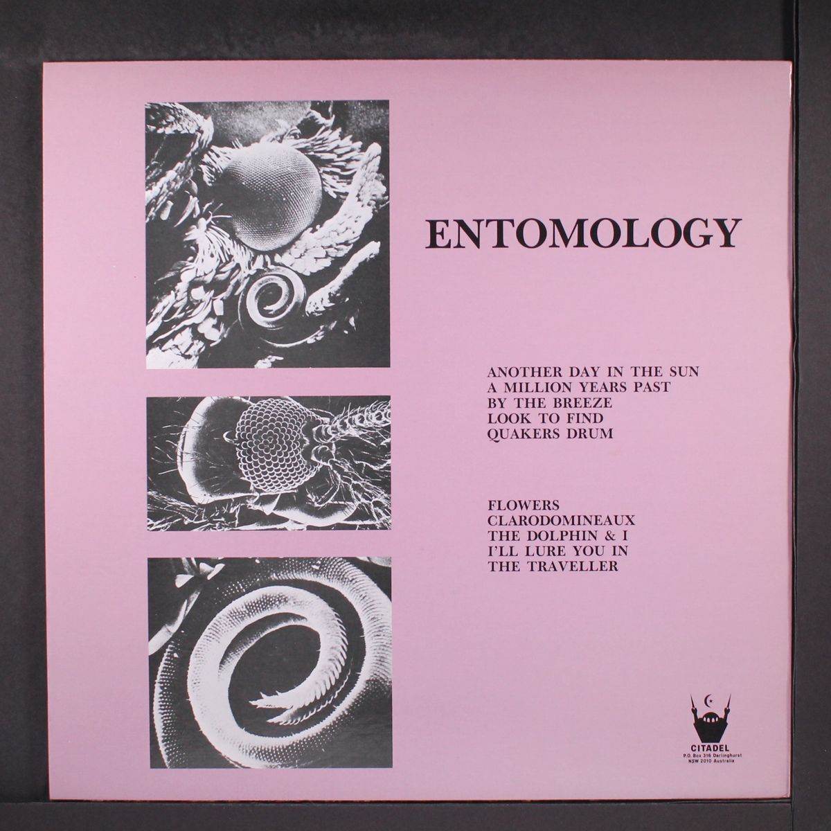 entomology by MOFFS