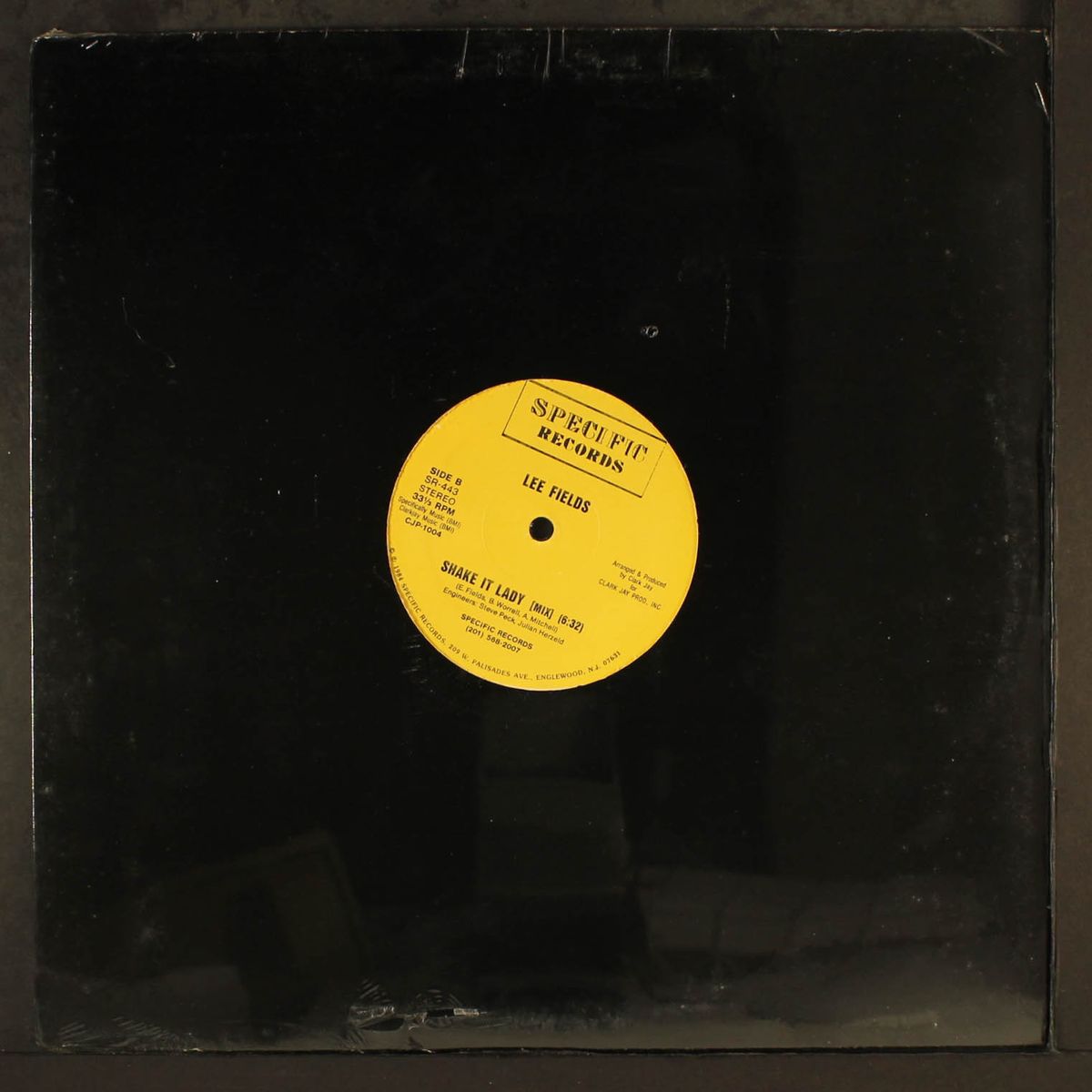 shake it lady by LEE FIELDS