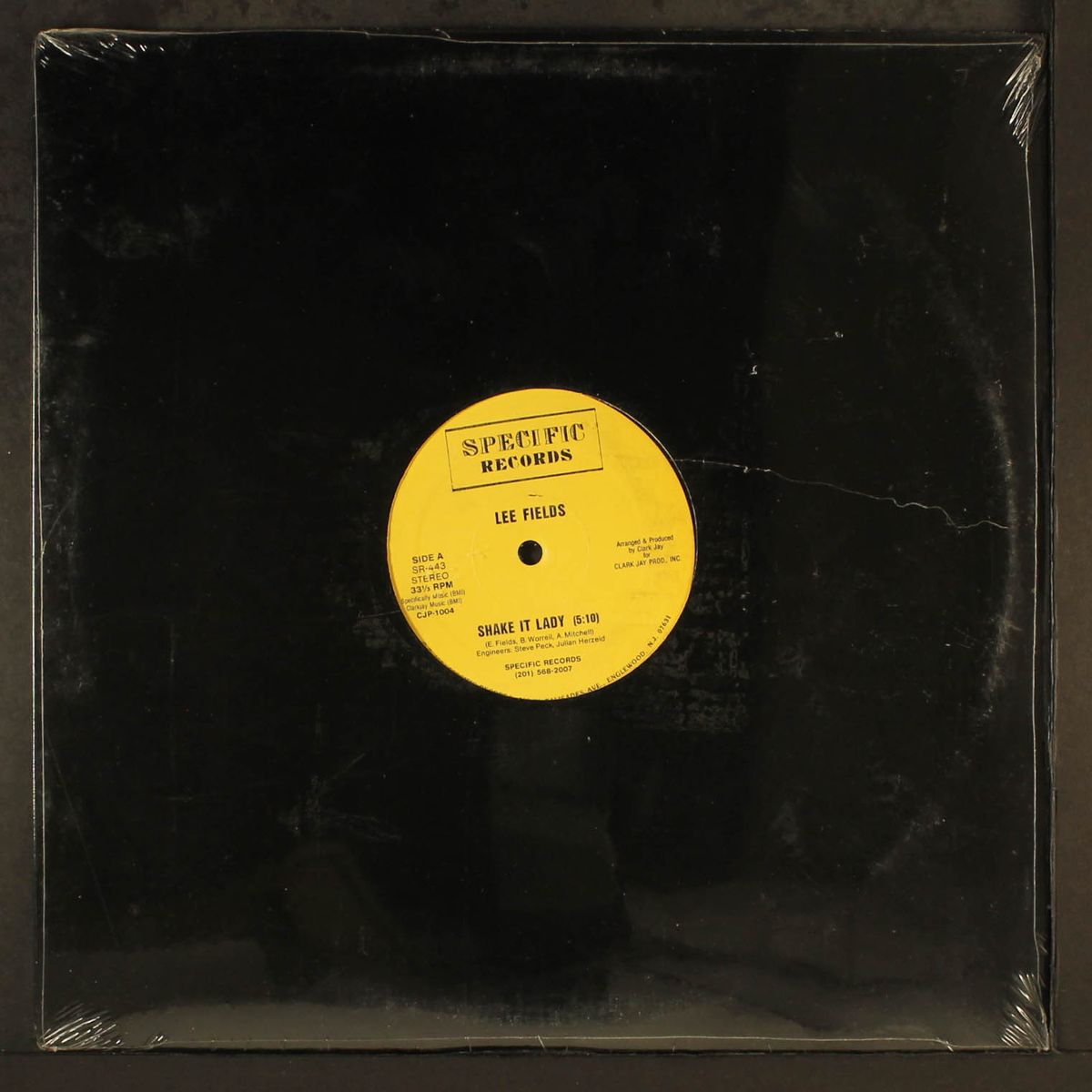 shake it lady by LEE FIELDS