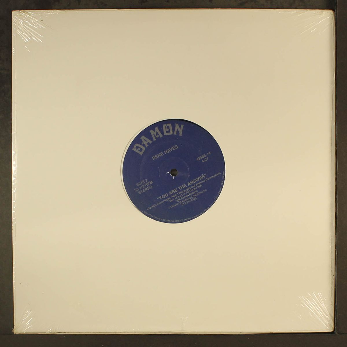 ain't it funny by RENE HAYES