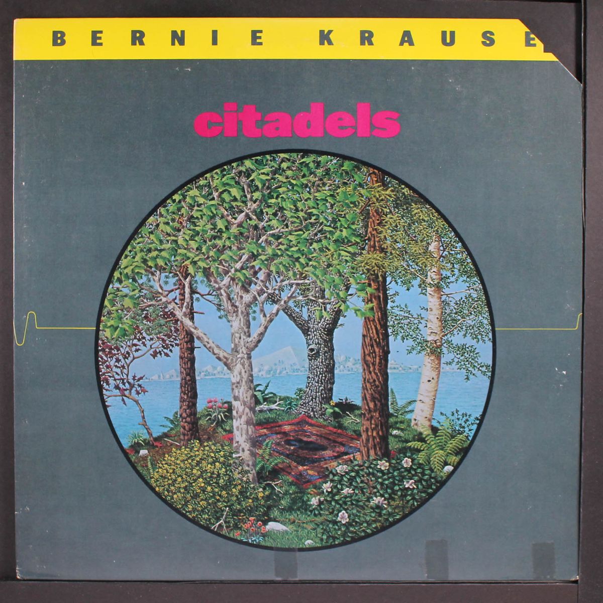 citadels by BERNIE KRAUSE