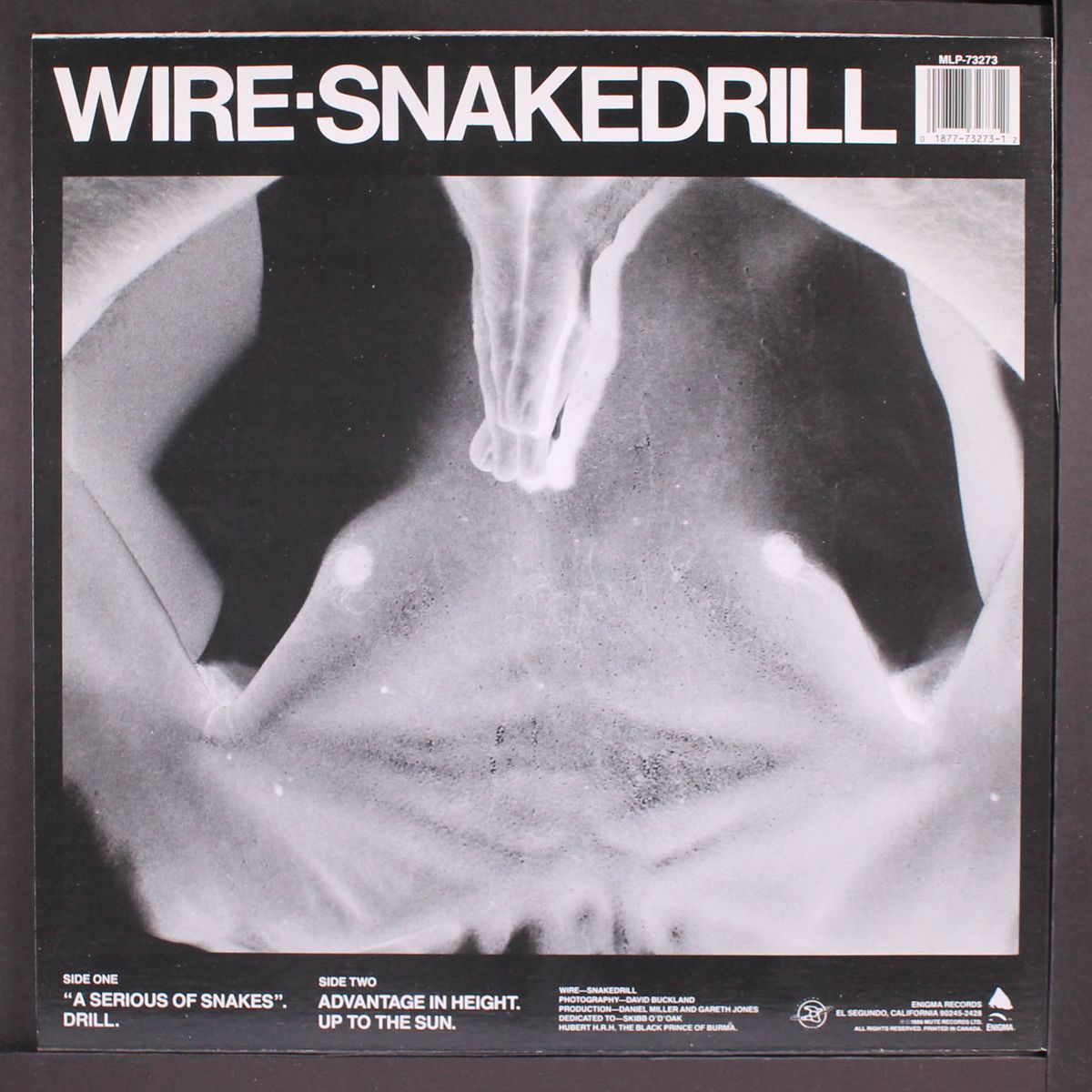 snakedrill by WIRE