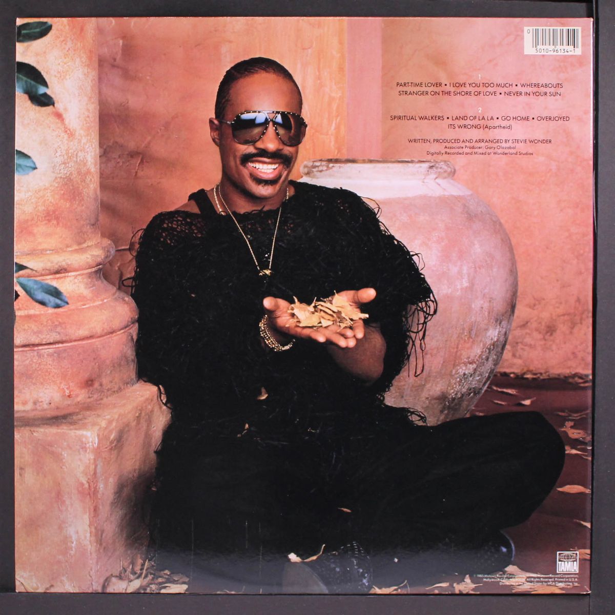 in square circle by STEVIE WONDER