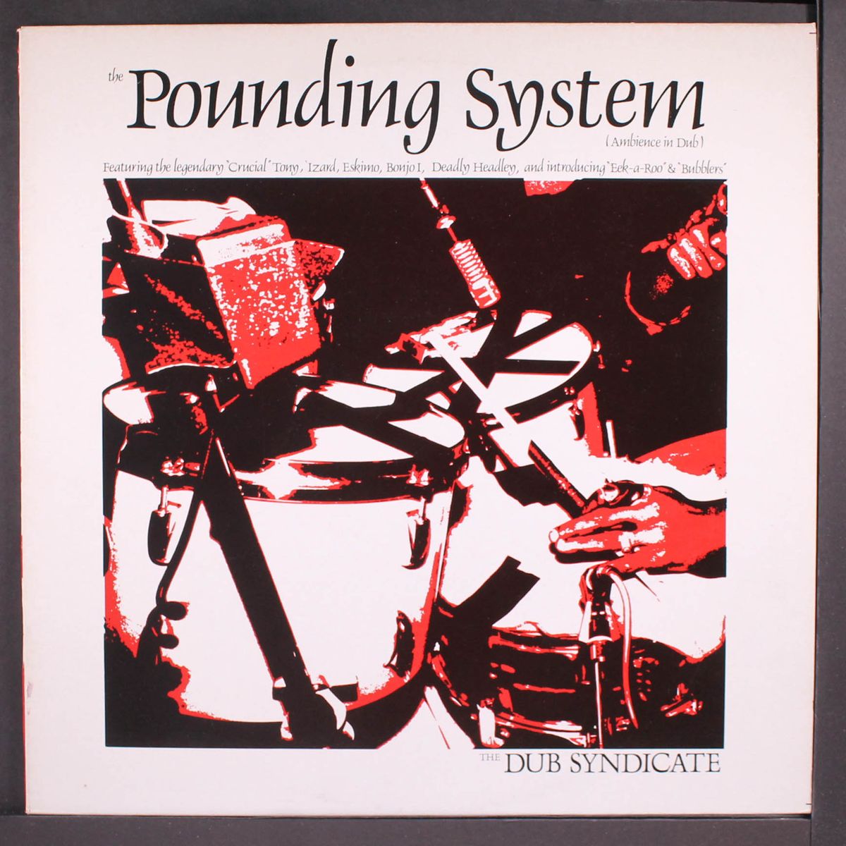 the pounding system by DUB SYNDICATE