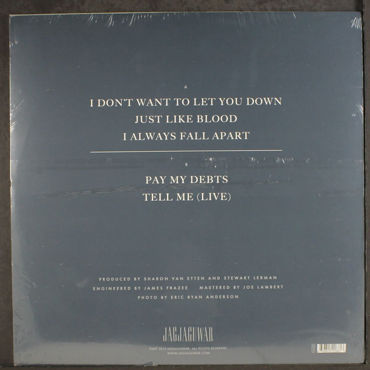 i don't want to let you down ep by SHARON VAN ETTEN