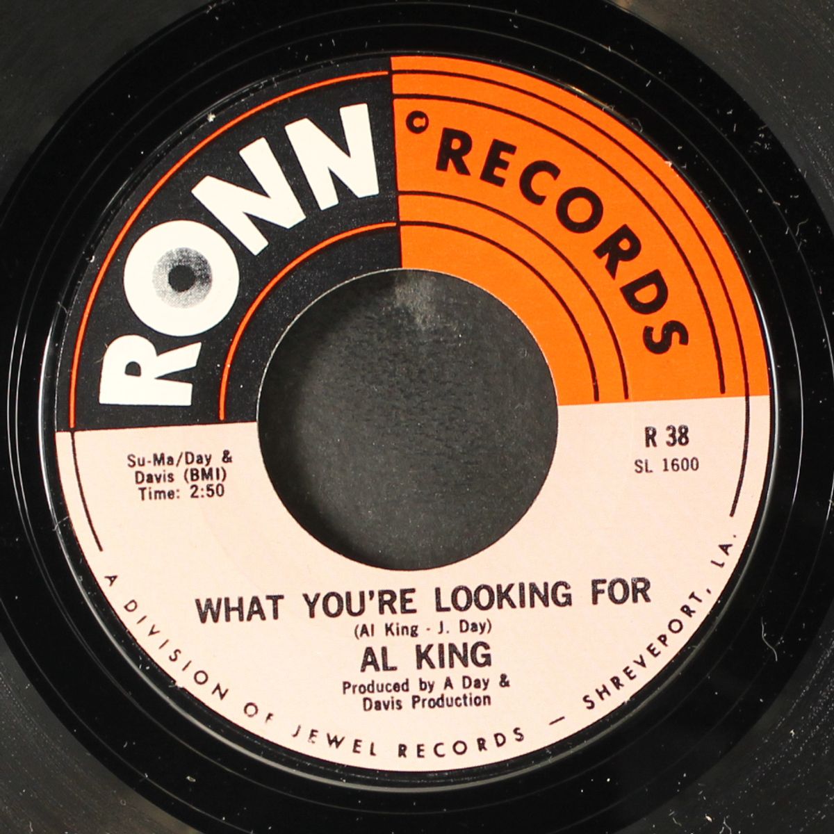 i can't understand / what you're looking for by AL KING