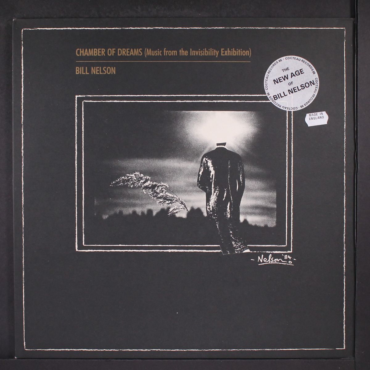 chamber of dreams by BILL NELSON