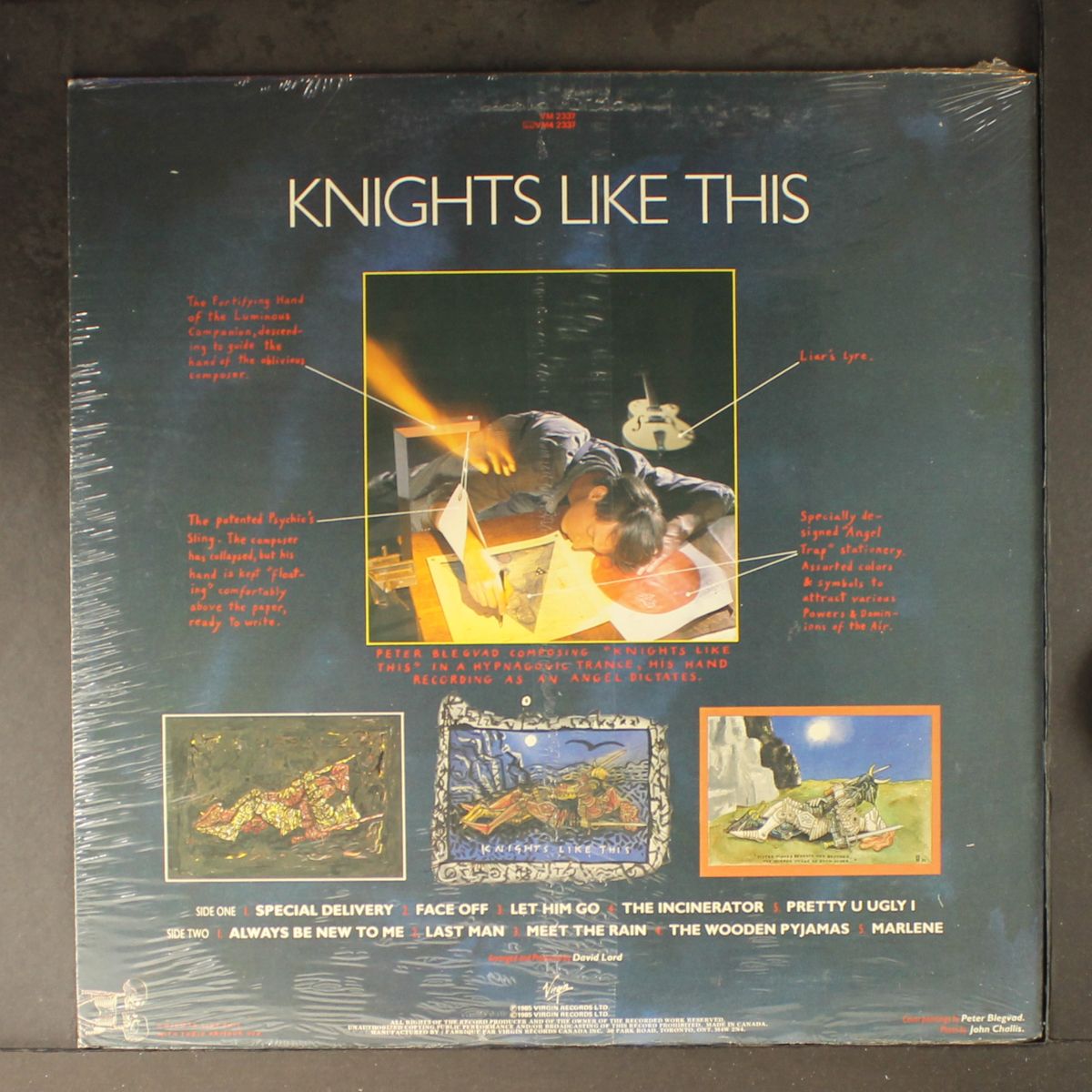 knights like this by PETER BLEGVAD
