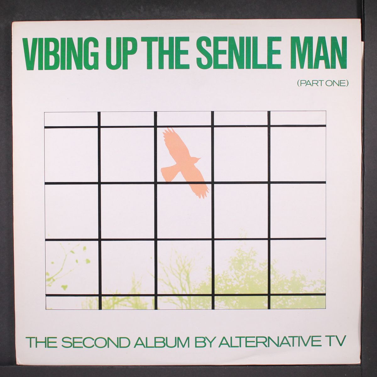 vibing up the senile man (part one) by ALTERNATIVE TV