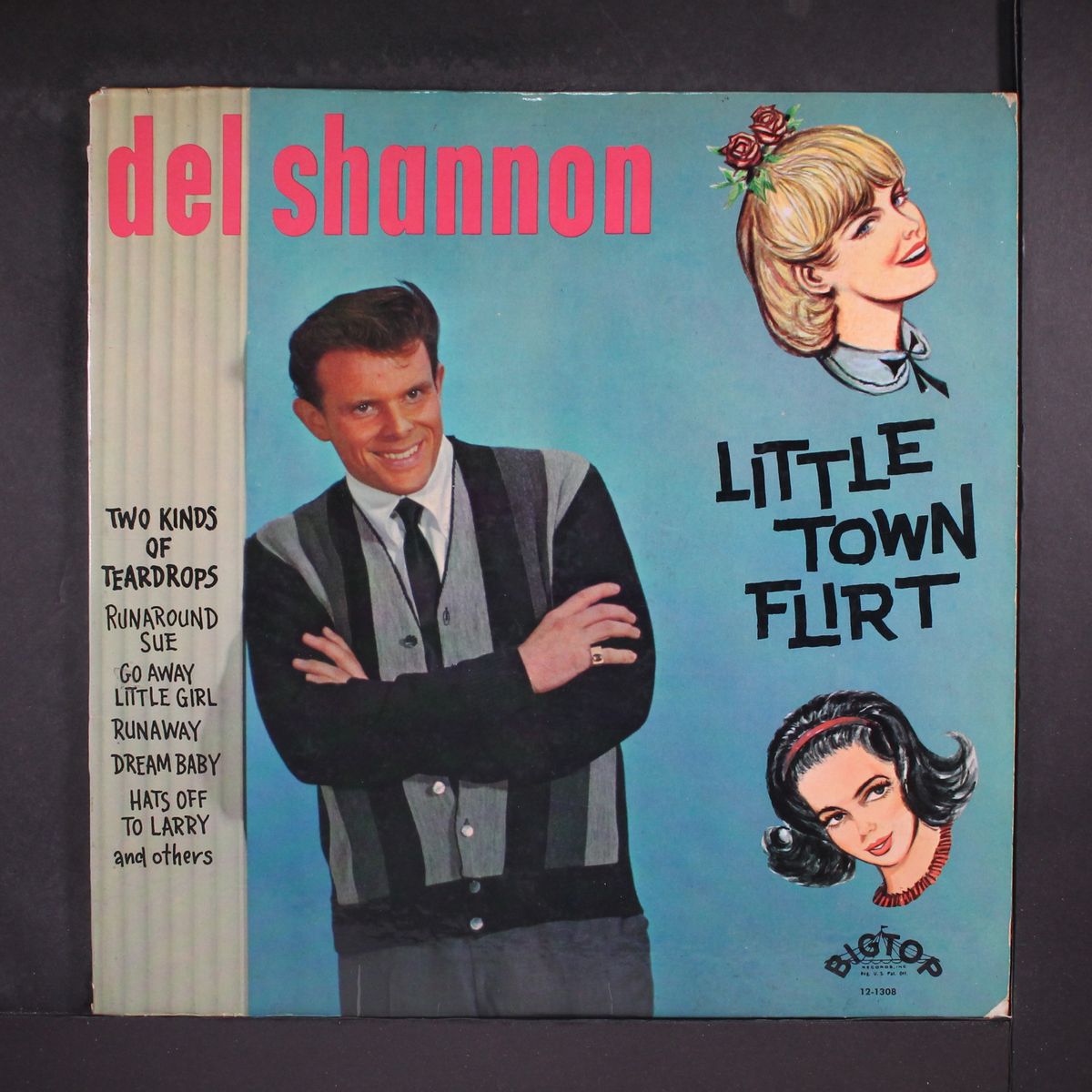 little town flirt by DEL SHANNON