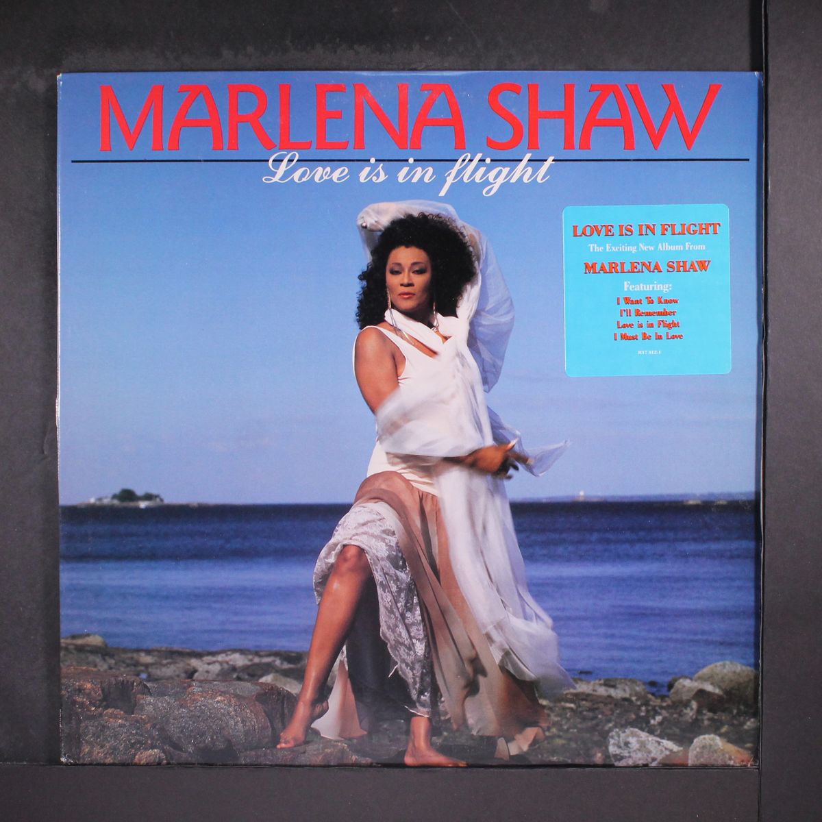 love is in flight by MARLENA SHAW