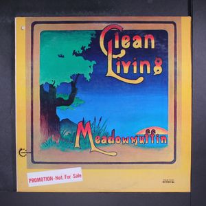 CLEAN LIVING