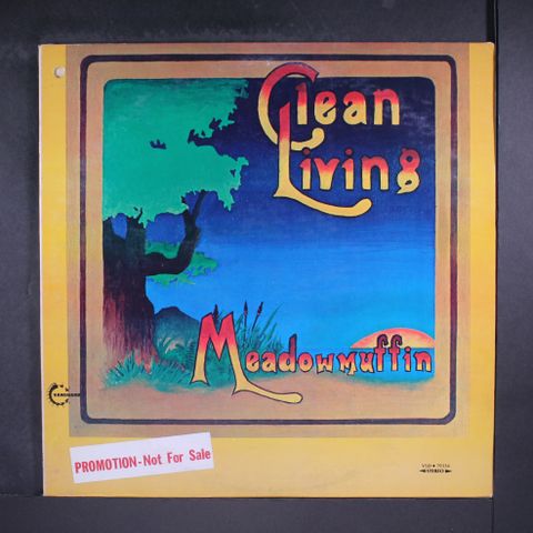 CLEAN LIVING
