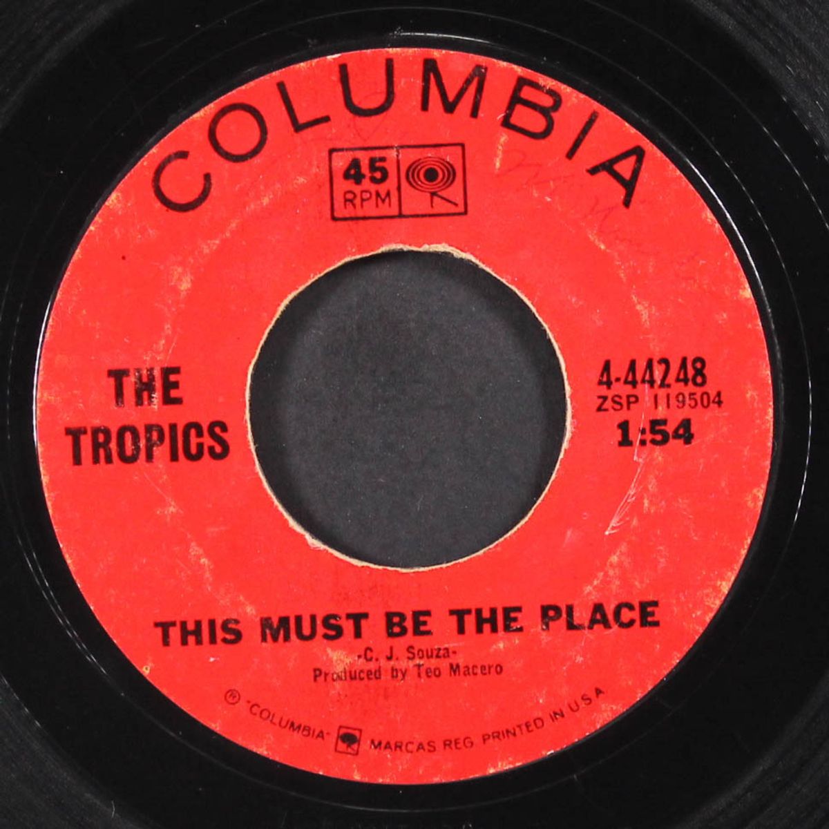 this must be the place by TROPICS