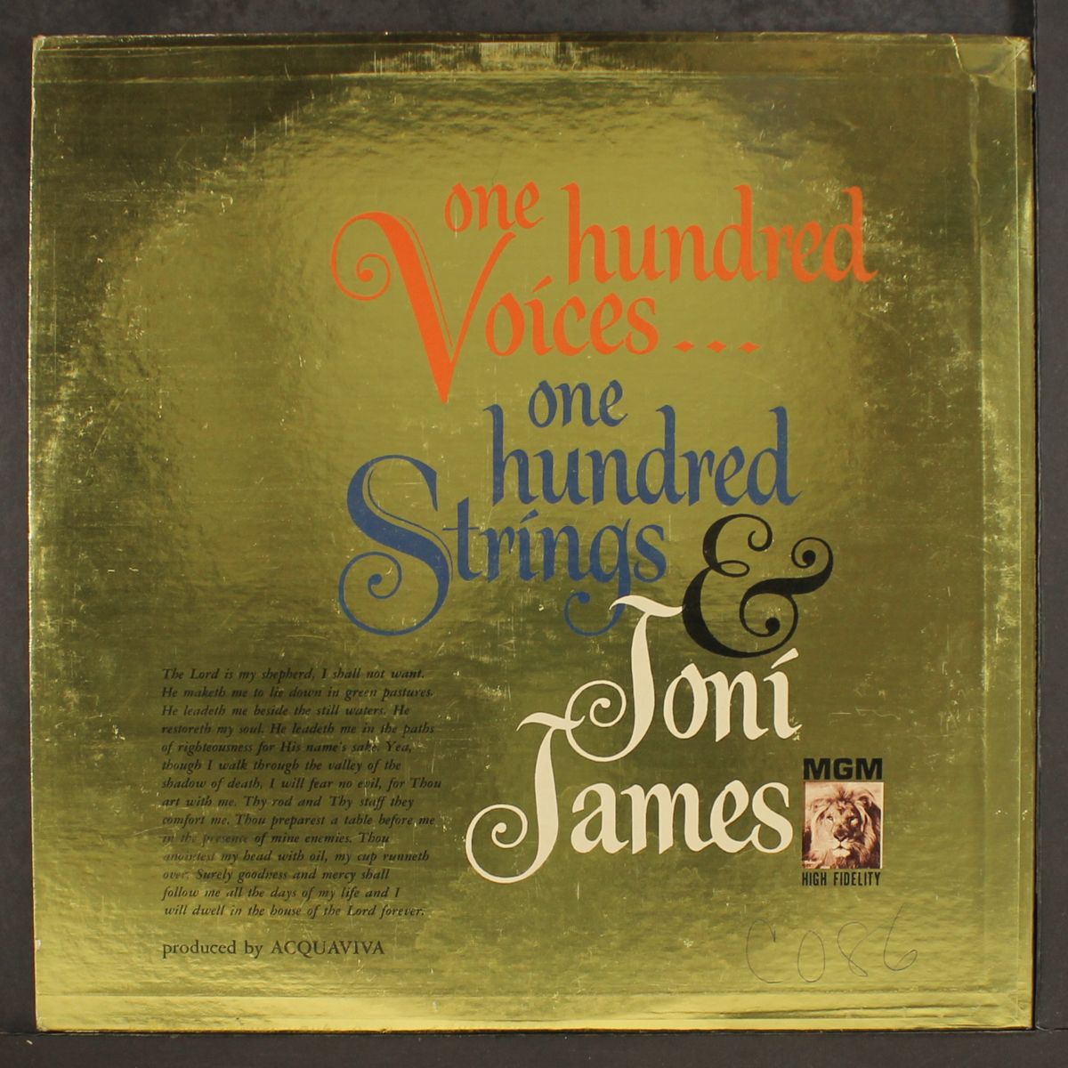 one hundred voices...one hundred strings by JONI JAMES