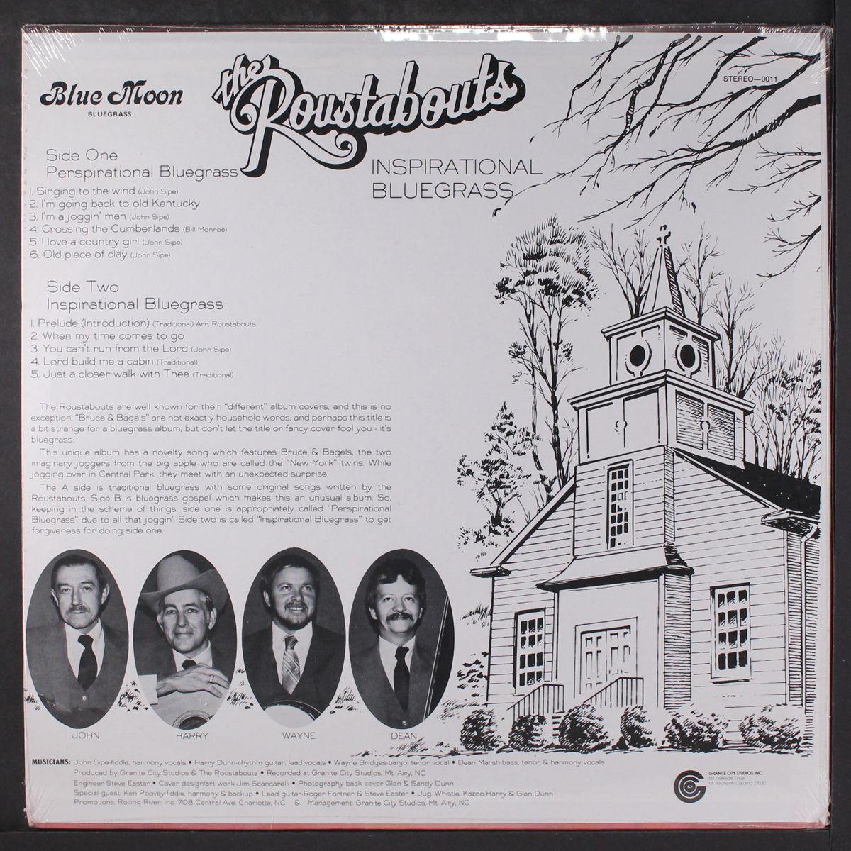 perspirational / inspirational bluegrass by ROUSTABOUTS