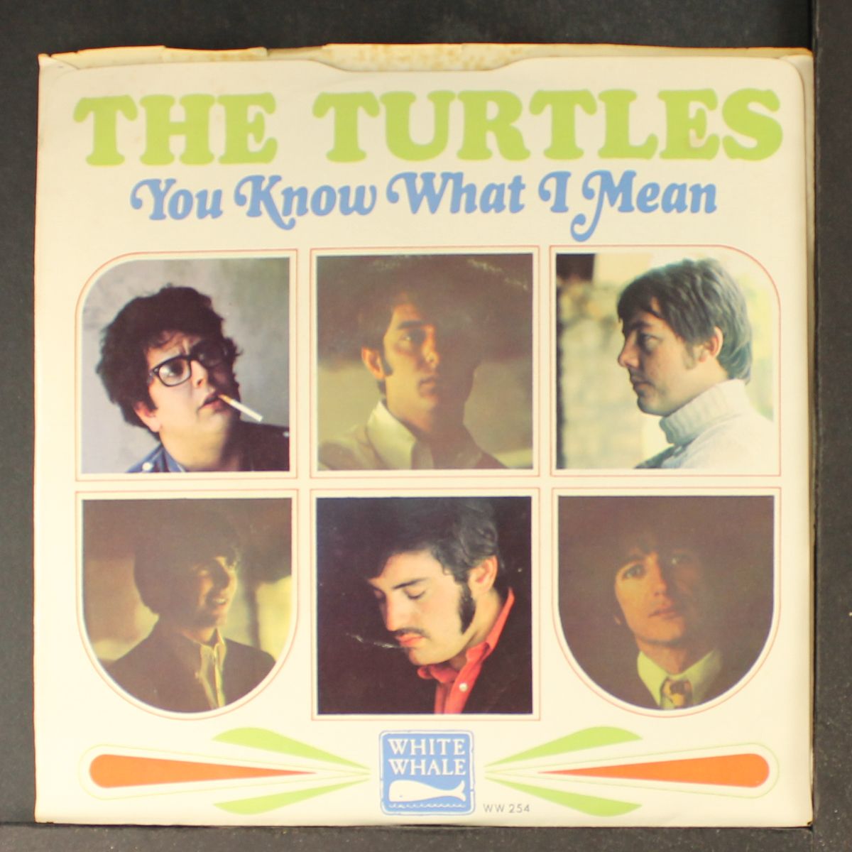 you know what i mean / rugs of woods & flowers by TURTLES