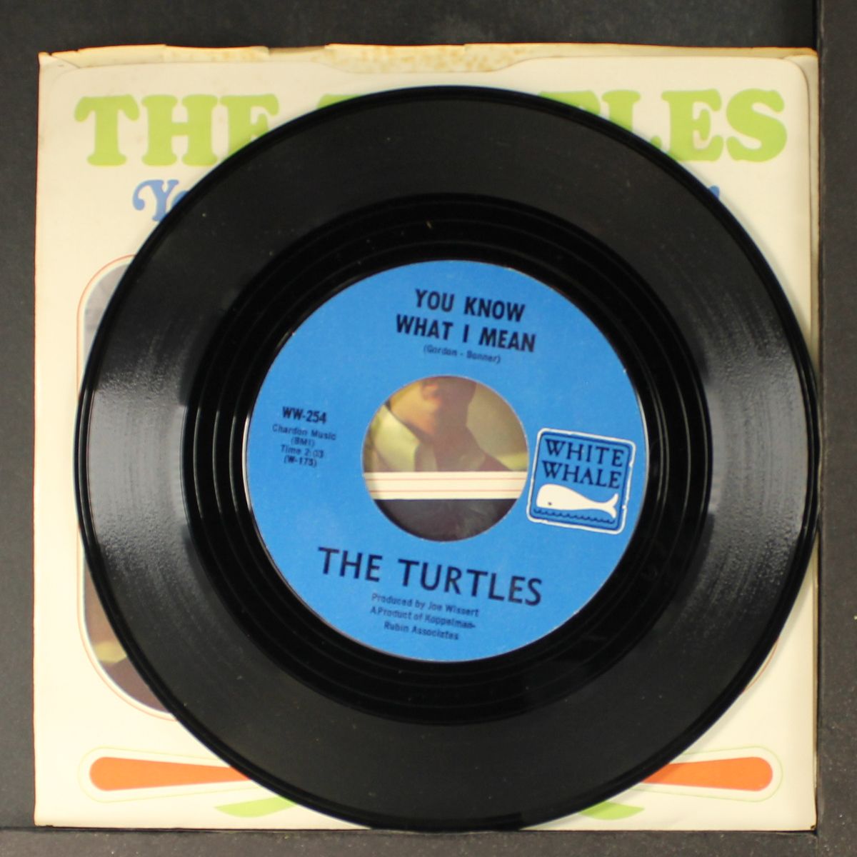 you know what i mean / rugs of woods & flowers by TURTLES