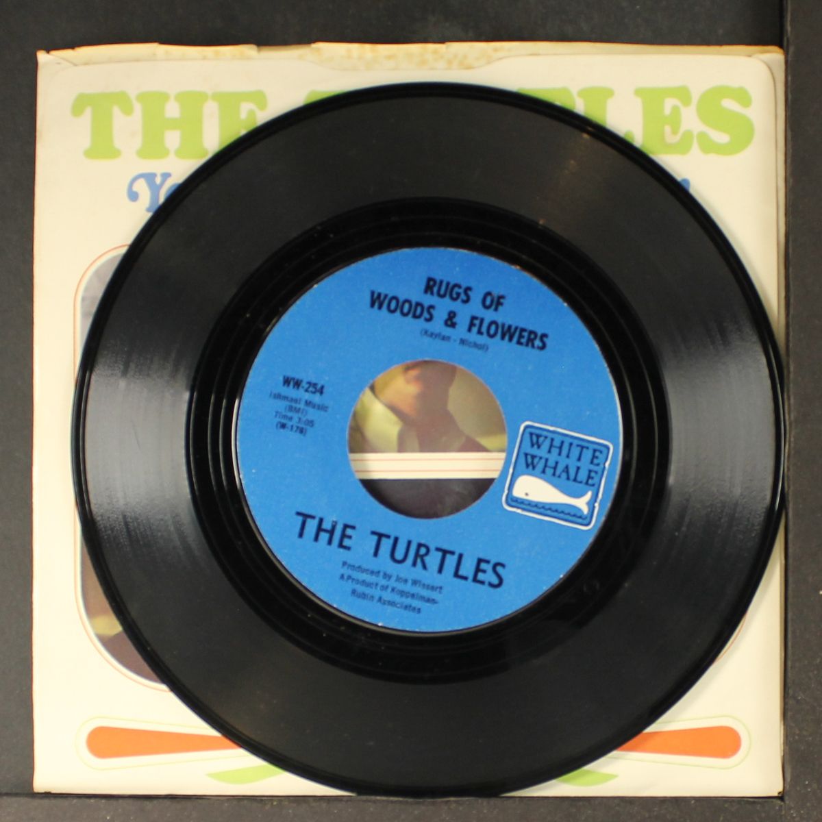 you know what i mean / rugs of woods & flowers by TURTLES