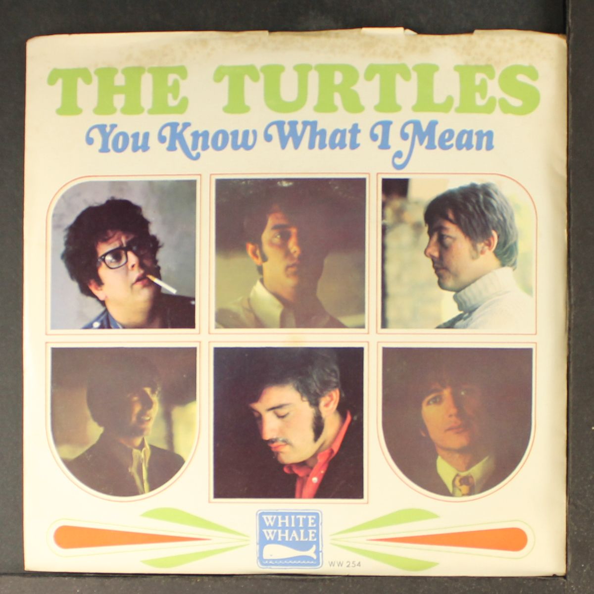 you know what i mean / rugs of woods & flowers by TURTLES