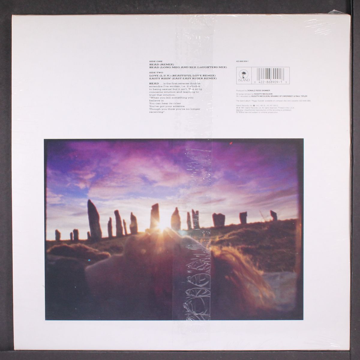 dancing heads by JULIAN COPE