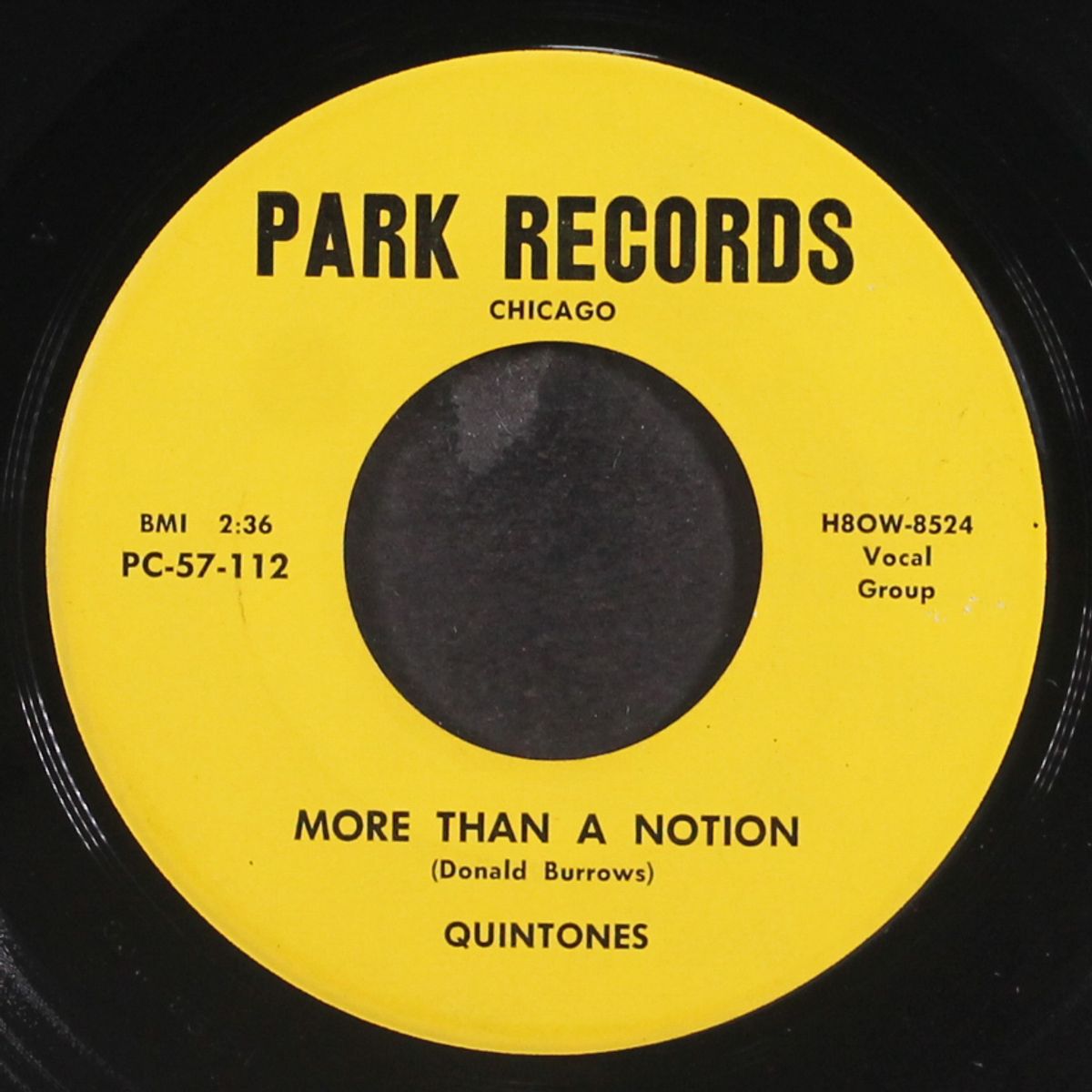 south sea island / more than a notion by QUINTONES