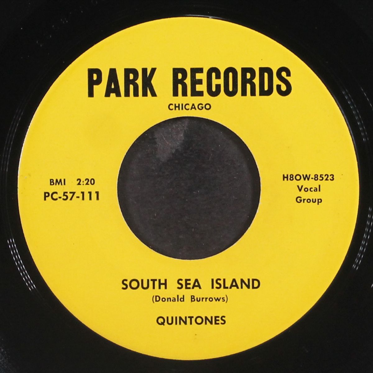 south sea island / more than a notion by QUINTONES