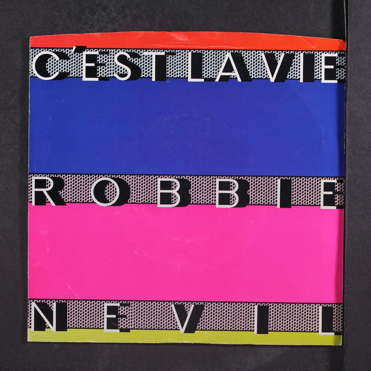 c'est la vie by ROBBIE NEVIL