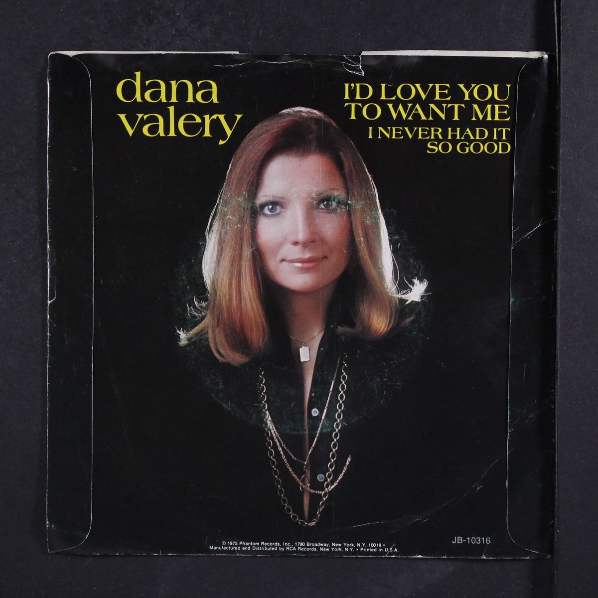 i'd love you to want me by DANA VALERY