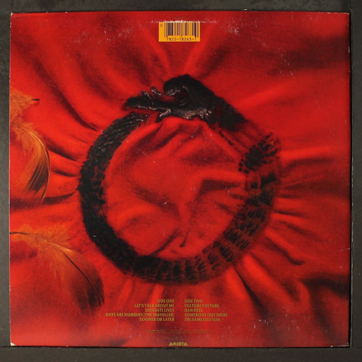vulture culture by ALAN PARSONS PROJECT