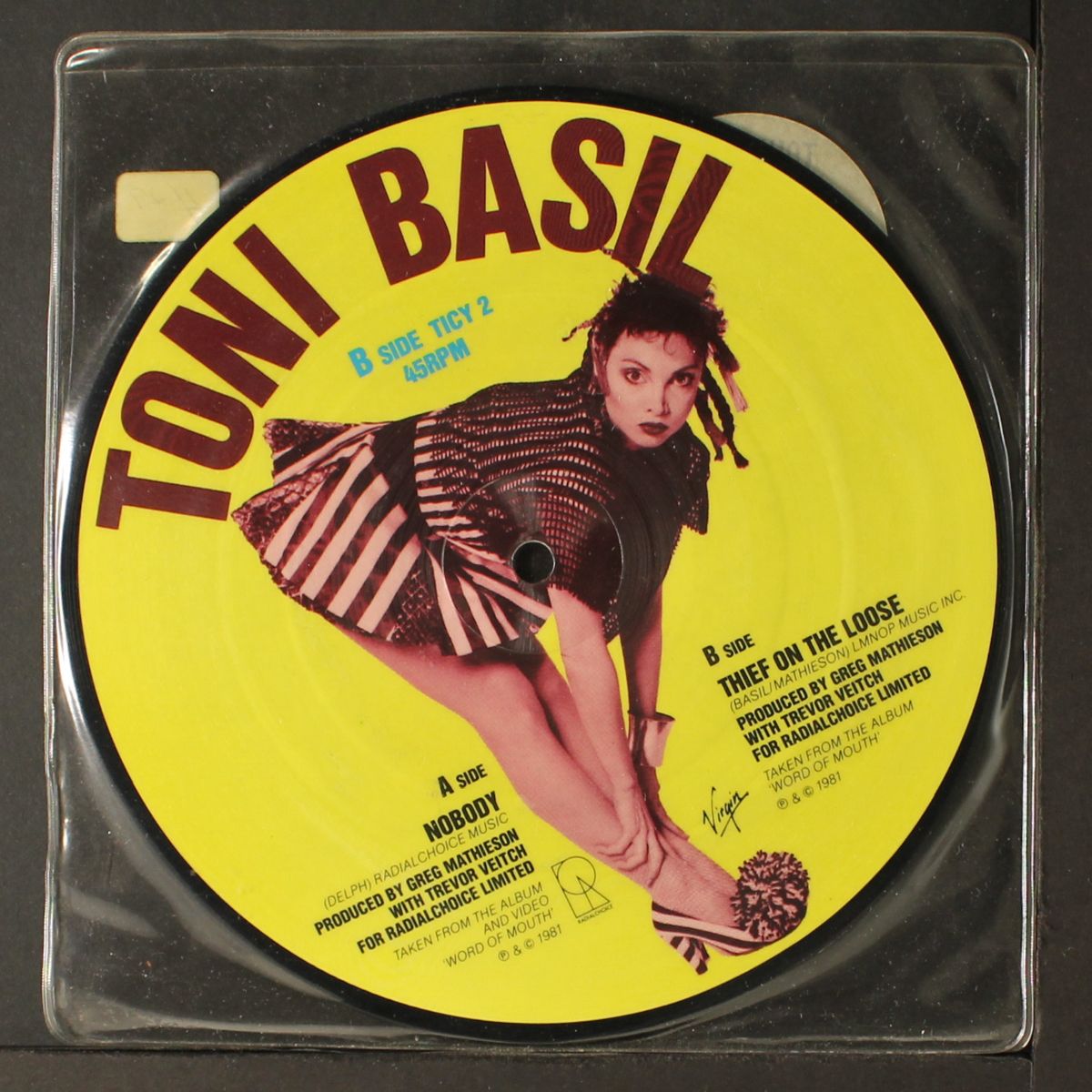 nobody / thief on the lose by TONI BASIL