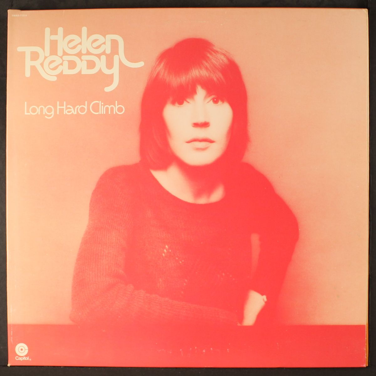 long hard climb by HELEN REDDY