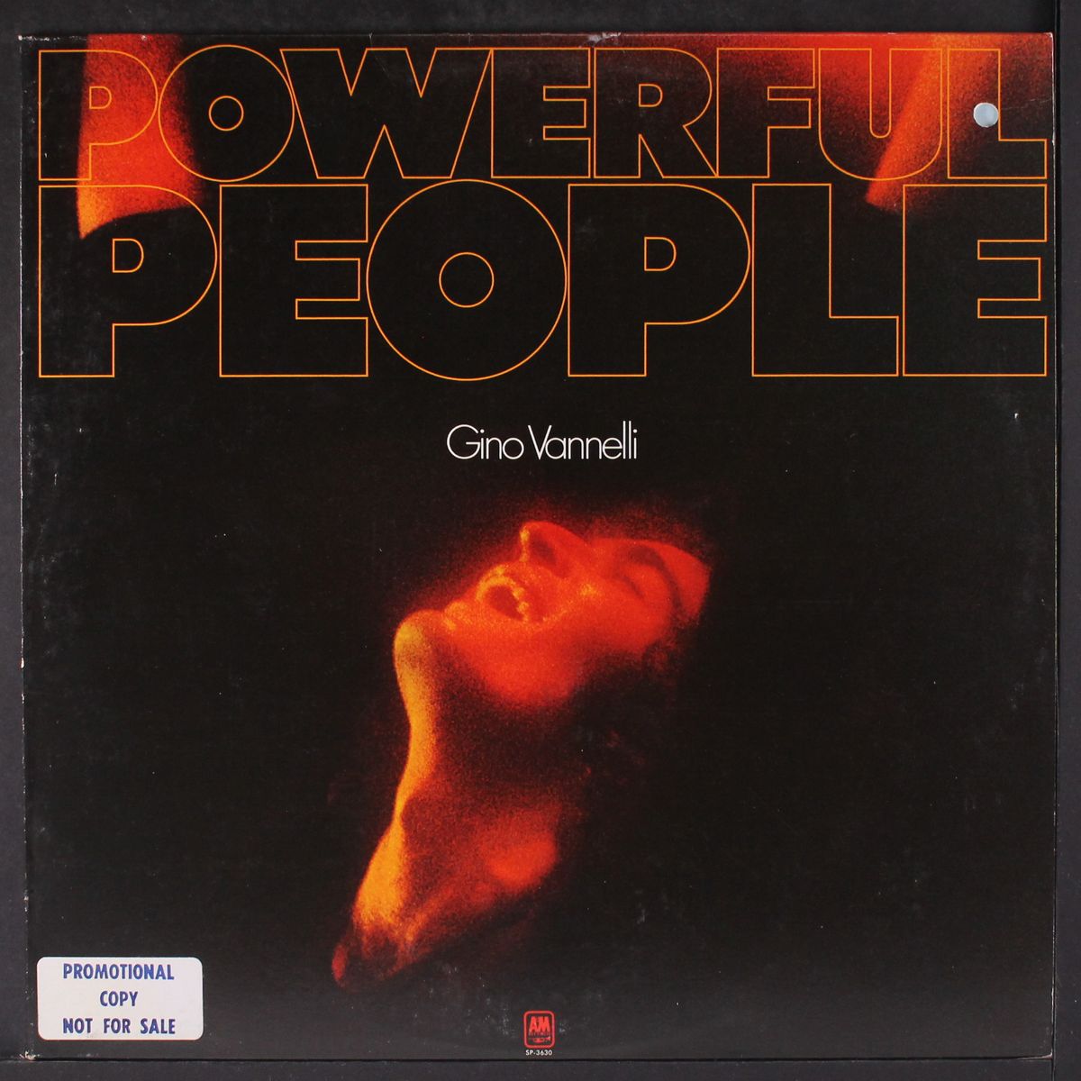 powerful people by GINO VANNELLI