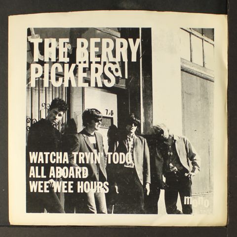 BERRY PICKERS