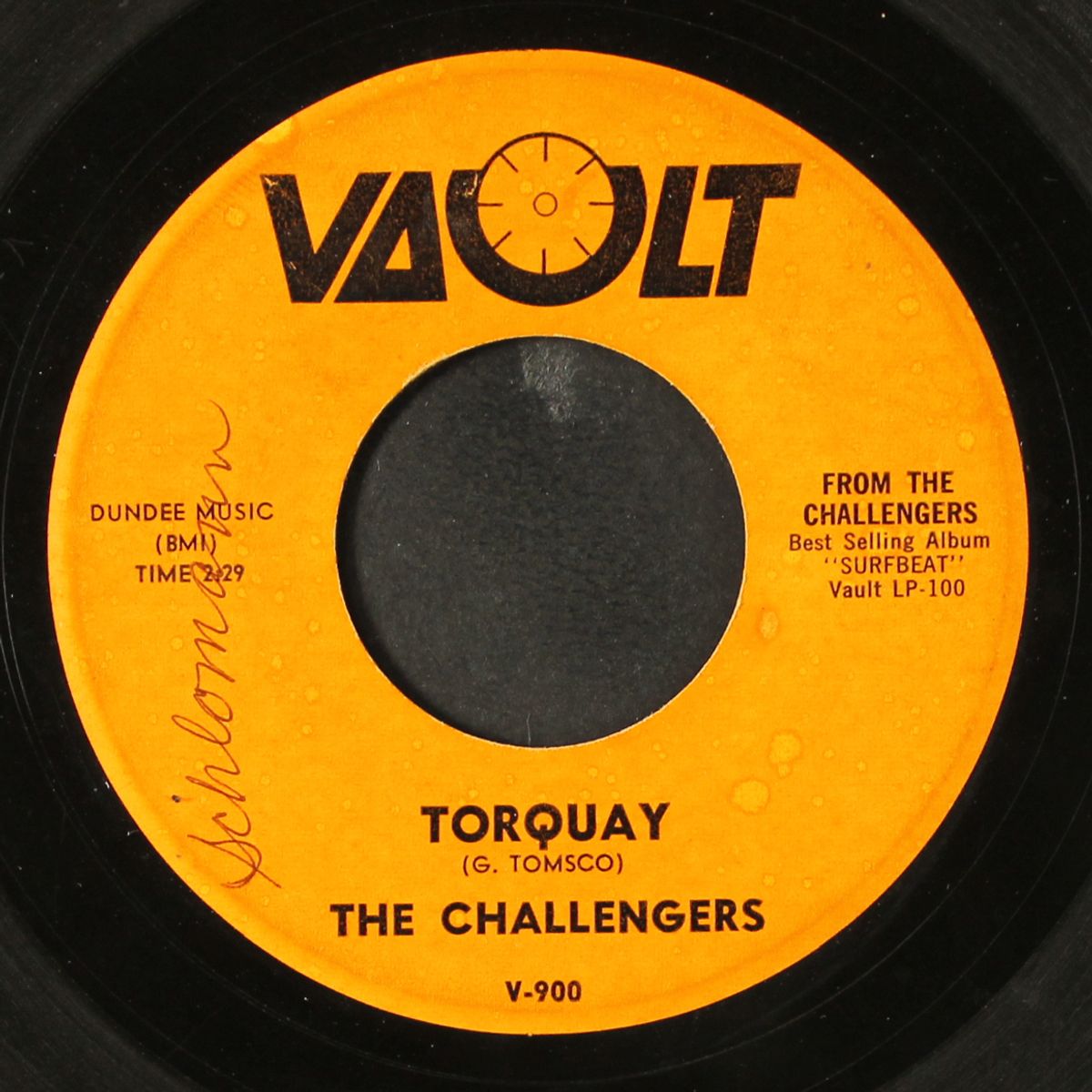 torquay / bulldog by CHALLENGERS