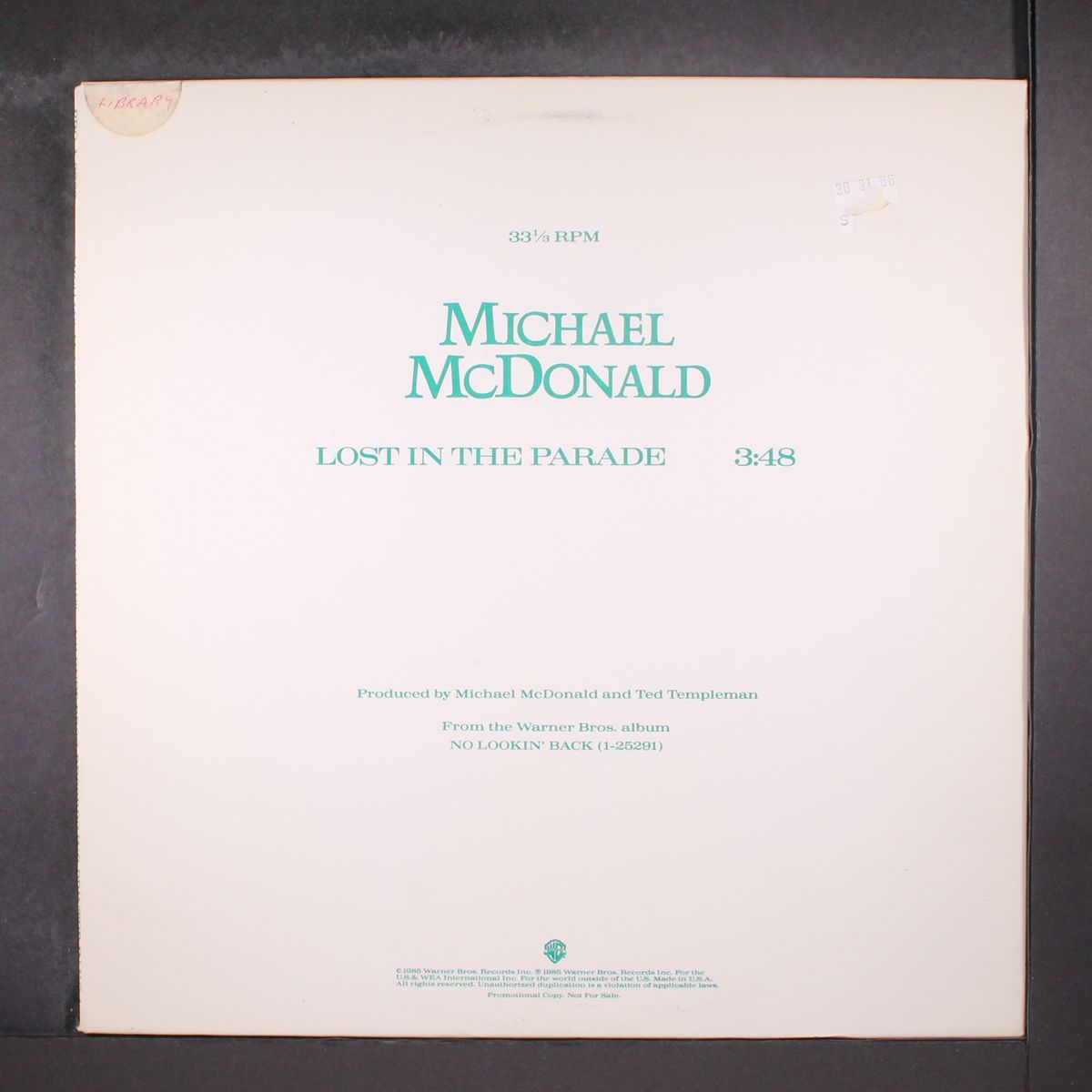 lost in the paradise / same by MICHAEL MCDONALD