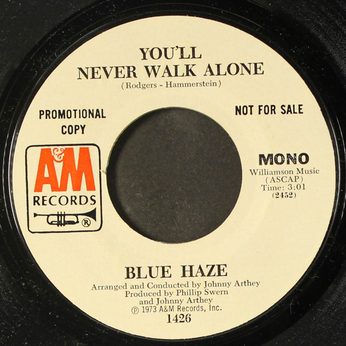 you'll never walk alone / mono by BLUE HAZE