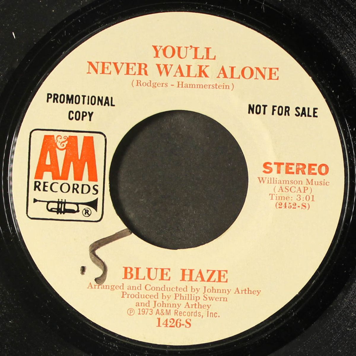 you'll never walk alone / mono by BLUE HAZE