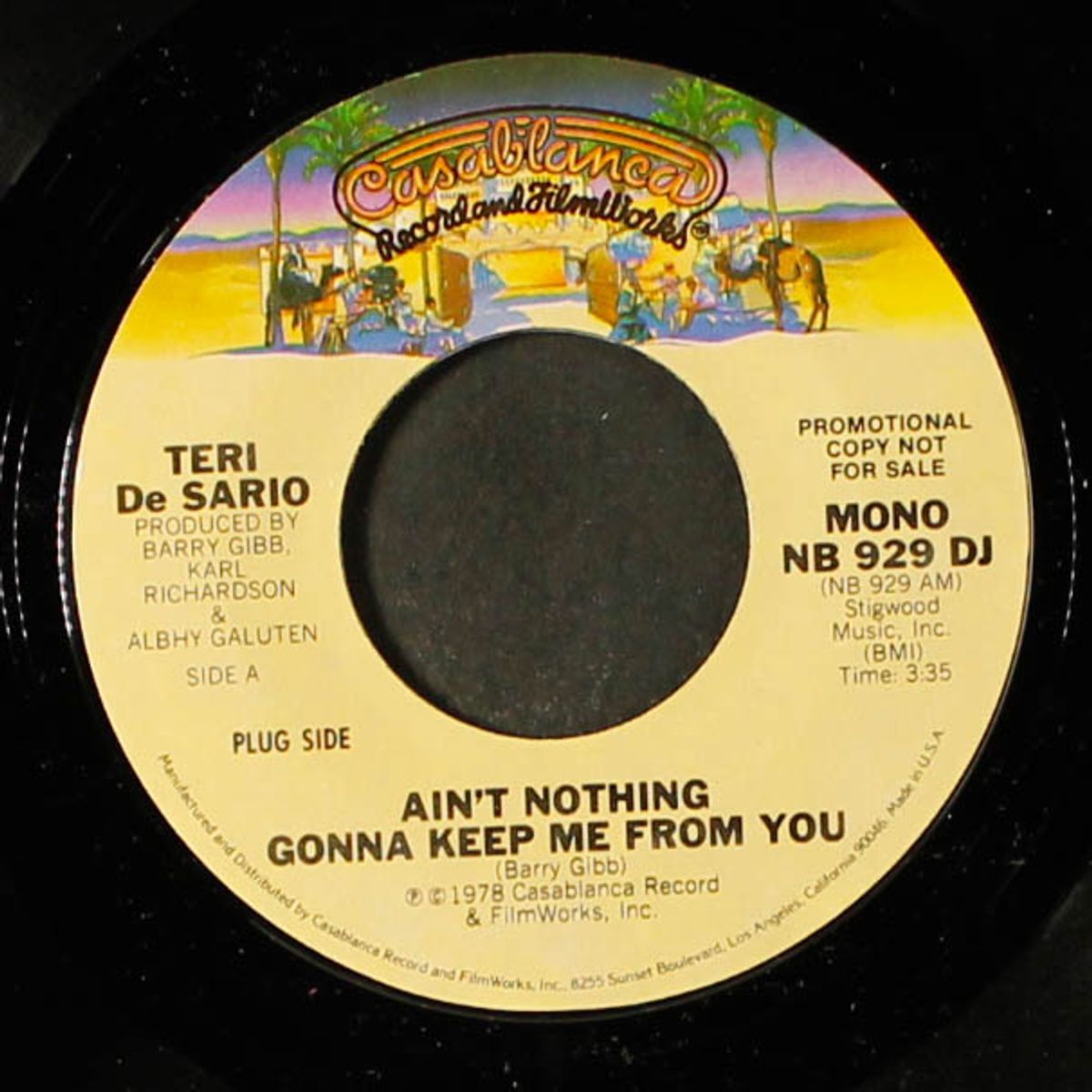 ain't nothing gonna keep me from you / mono by TERI DESARIO