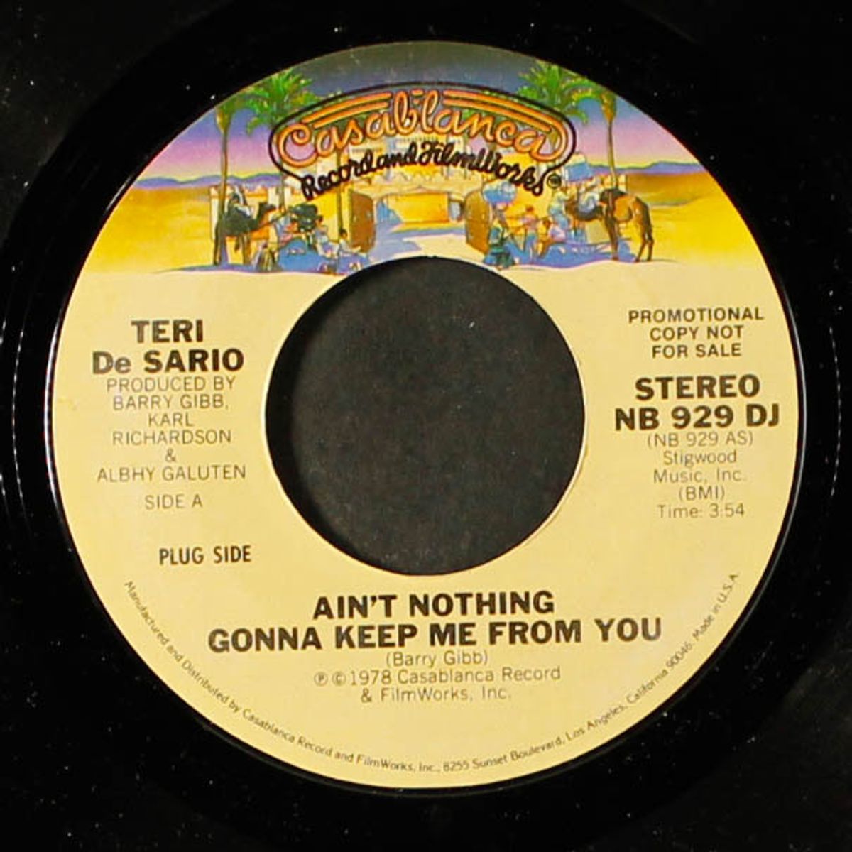 ain't nothing gonna keep me from you / mono by TERI DESARIO